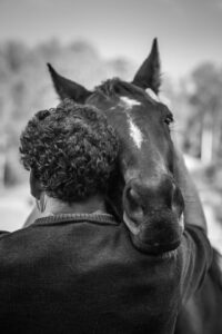 farm animal sanctuary