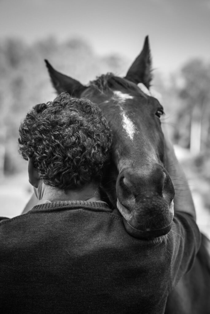 farm animal sanctuary