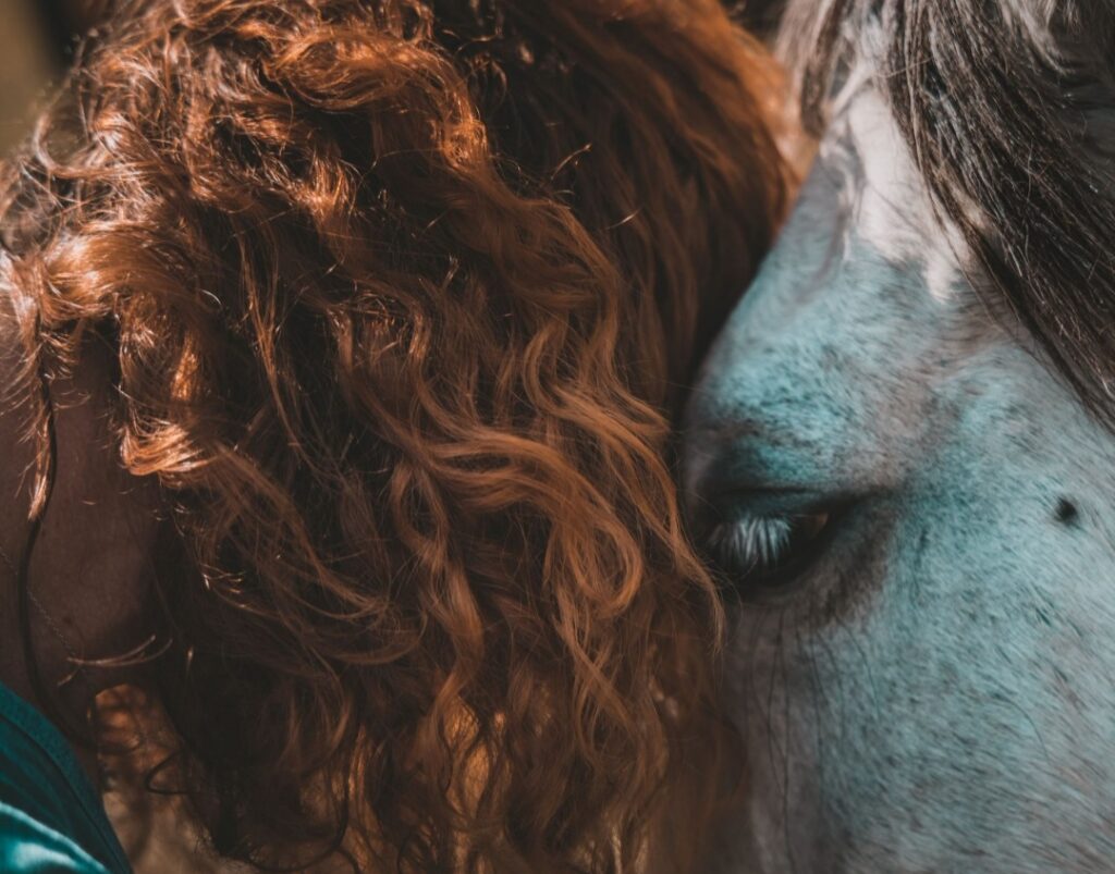 farm animal sanctuary