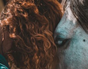 farm animal sanctuary