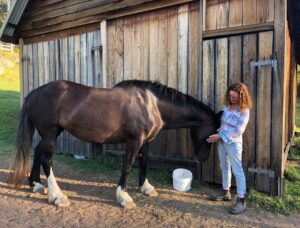 Farm Animal Sanctuary
