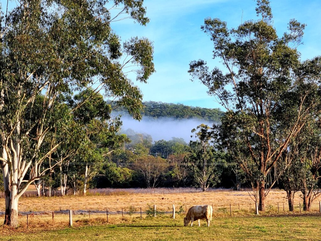 Farm Animal Sanctuary