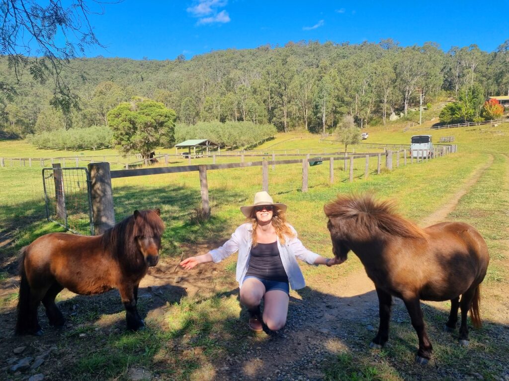 Farm Animal Sanctuary - Miniature Horses