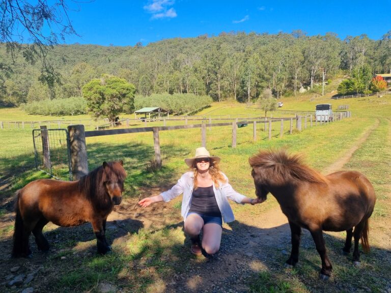 Farm Animal Sanctuary - Miniature Horses