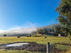 Farm Animal Sanctuary