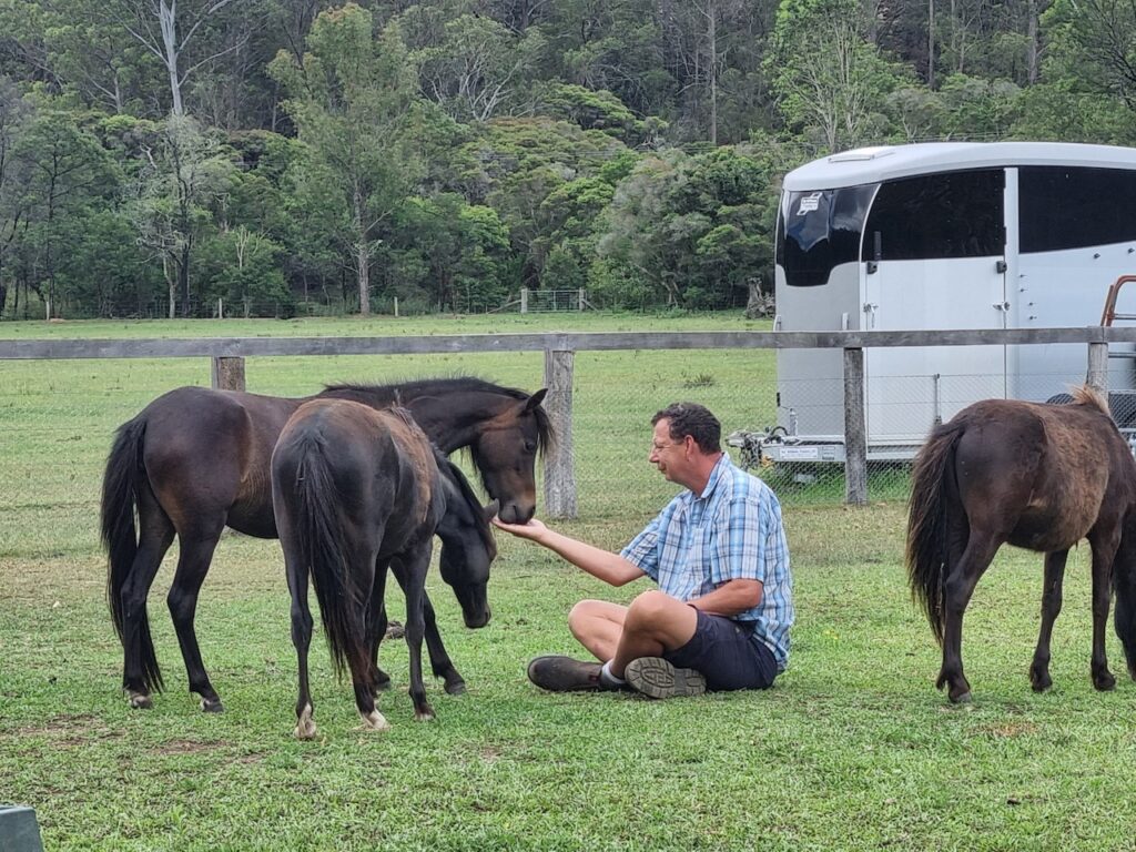 Farm Animal Sanctuary - Miniature Horses