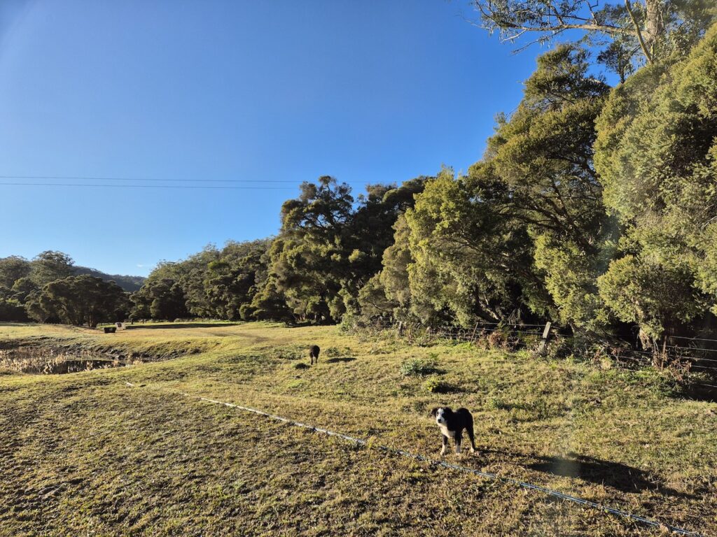 Farm Animal Sanctuary
