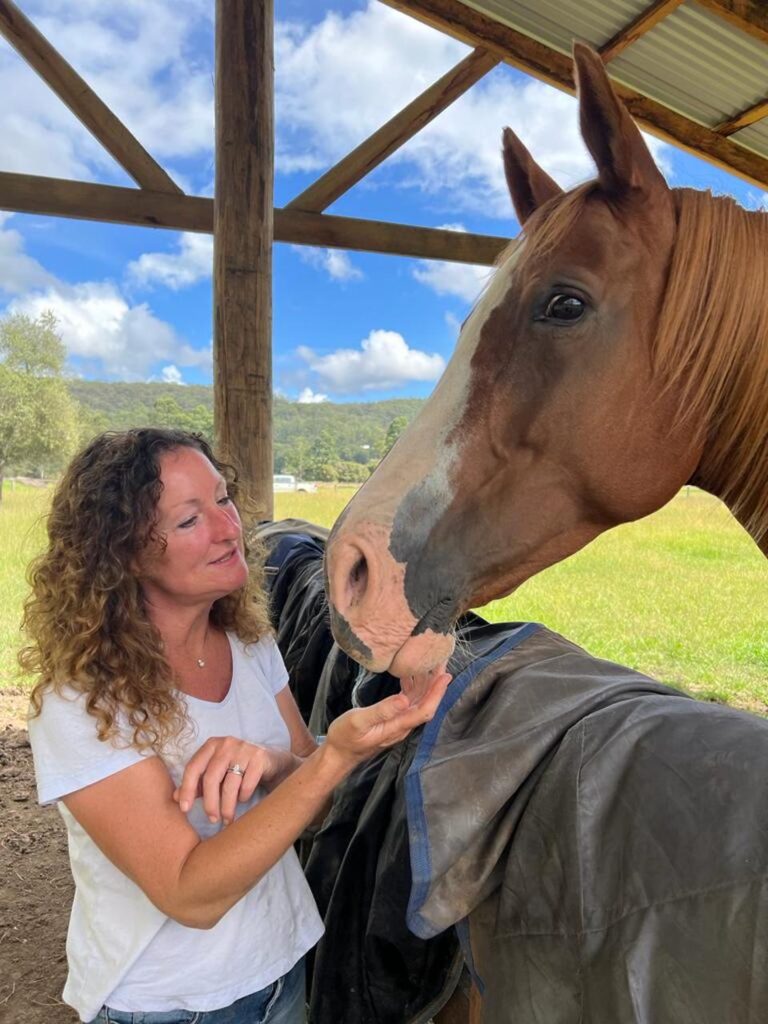Farm Animal Sanctuary